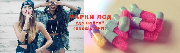 индика Армянск