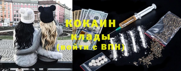 хмурый Арсеньев