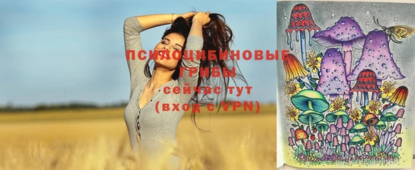 хмурый Арсеньев