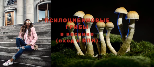 индика Армянск