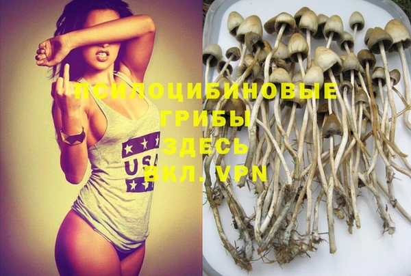 индика Армянск