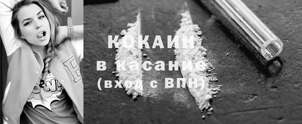 индика Армянск