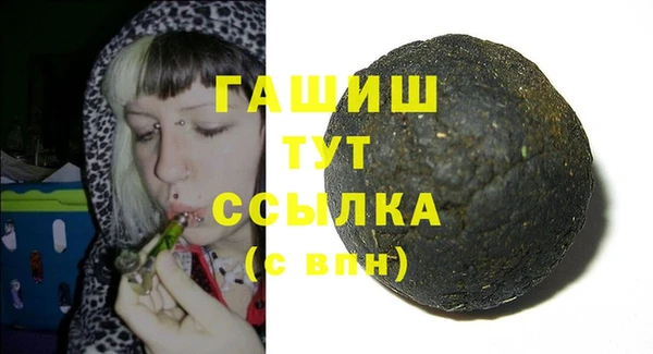 хмурый Арсеньев